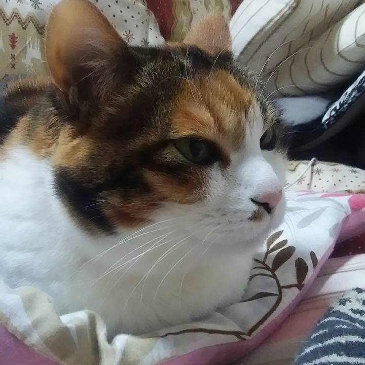 5d289f77 f8e9 4da8 9703 5618cf6ad34e