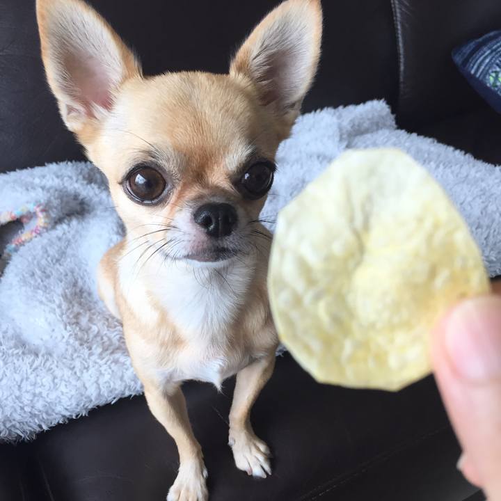 5d28b49d 736f 4e45 96d6 c28ac2cb8962