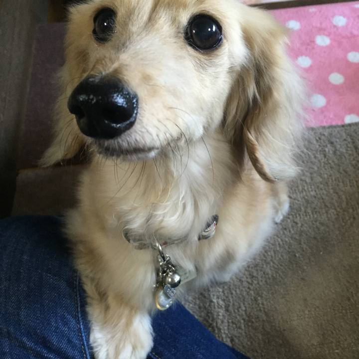 5d28ec6c 0568 45e4 87b4 e49aed89cbce