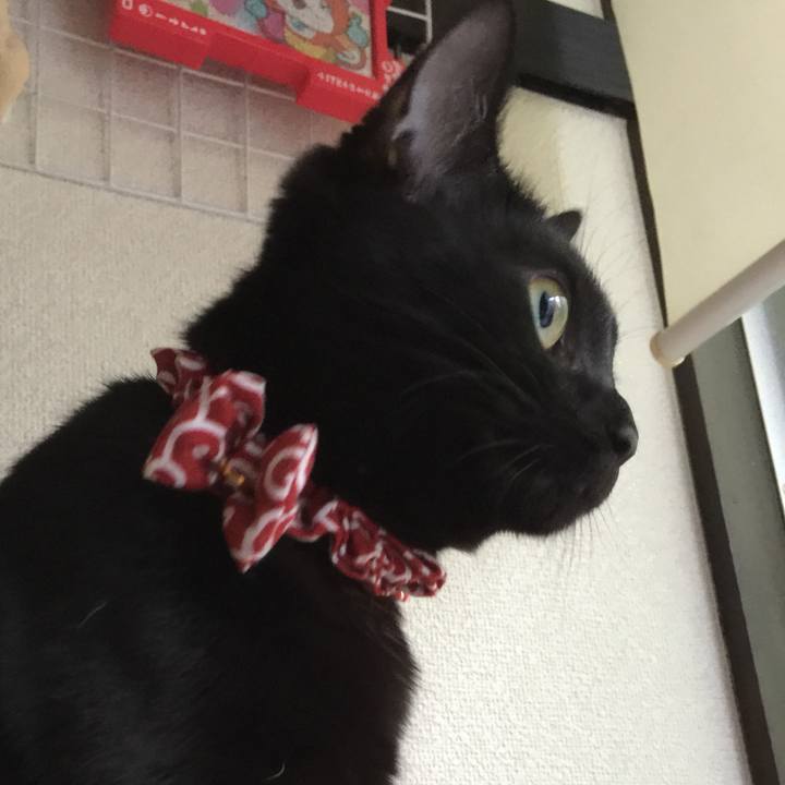 5d29870a f9ed 45b5 b222 3bd1cc28e5cc