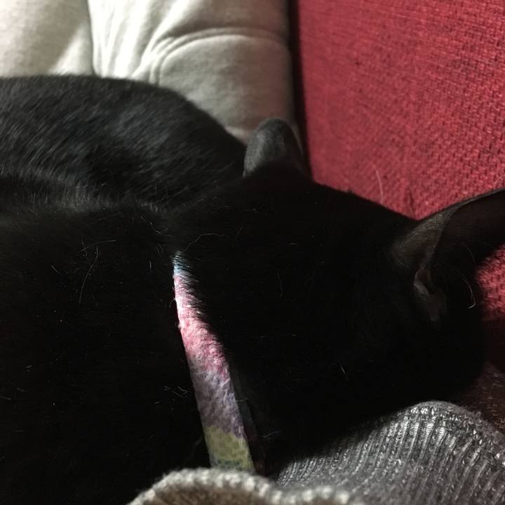 5d29af88 597a 4637 81c6 edd5b6548e3f