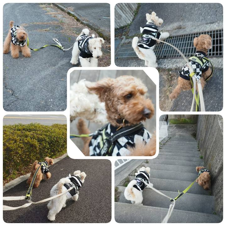 5d29c4e4 0c36 42a8 9d59 f30ef841b105