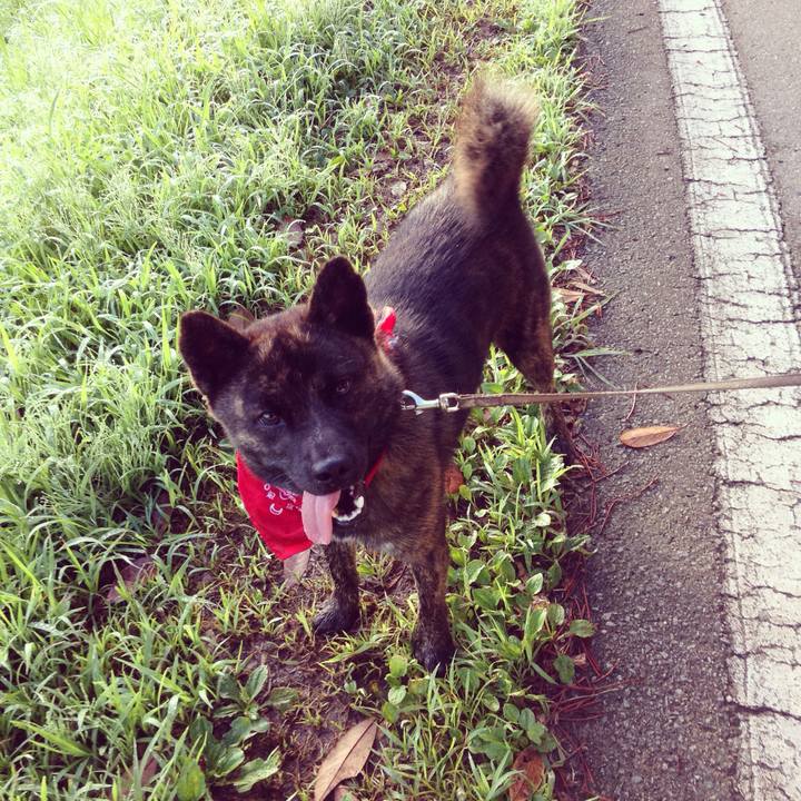 5d2ab934 6839 4e45 ba3b 5092c9f77dd7