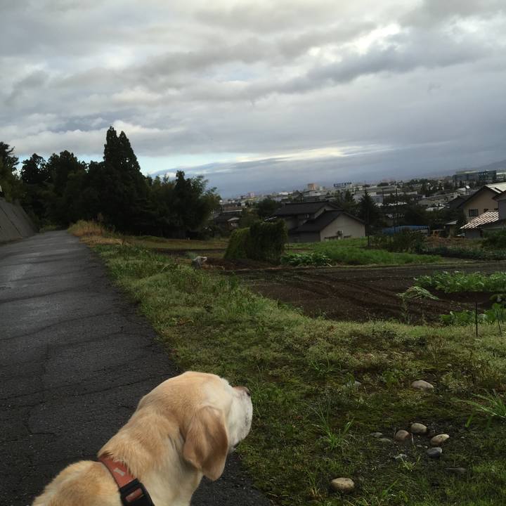 5d2c2d34 82cb 4734 839d 141b0db454e0