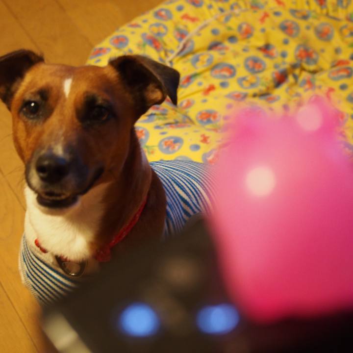 5d2d6543 96d8 4305 abbc 50fca4fa638f