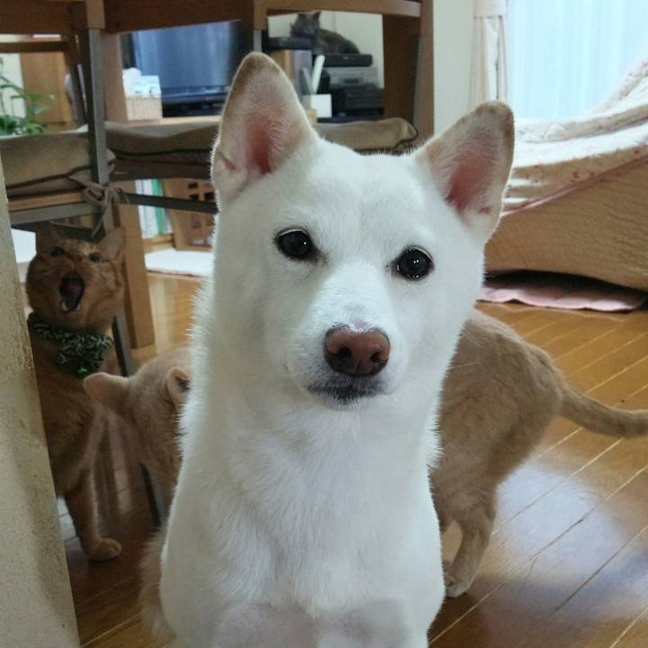 5d2d66d3 7bef 47ff bba1 b5d8da3d49a2