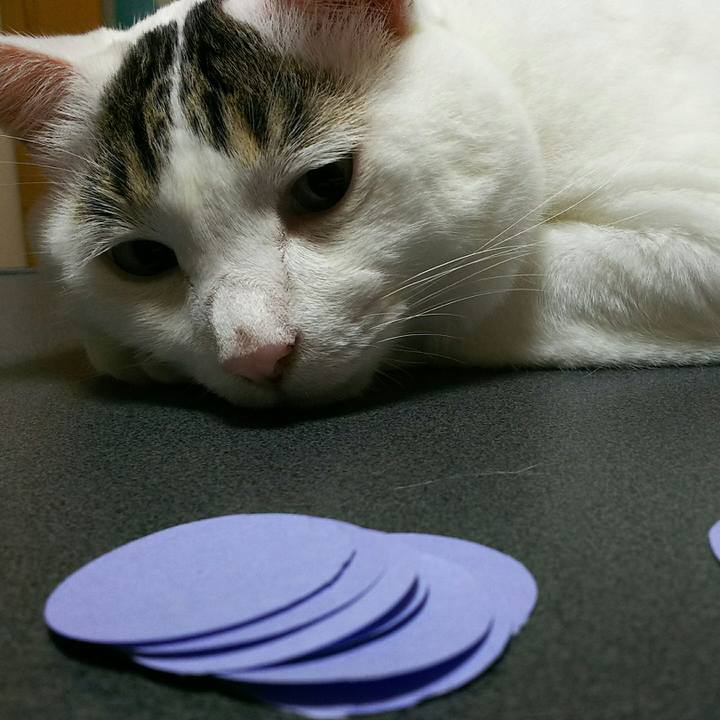 5d2dd590 14eb 4a1e bc93 51a2bb137a7a