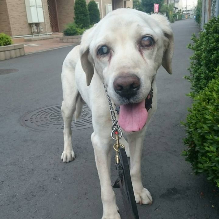 5d2e1766 58ca 4e82 9576 9086fc44a06b