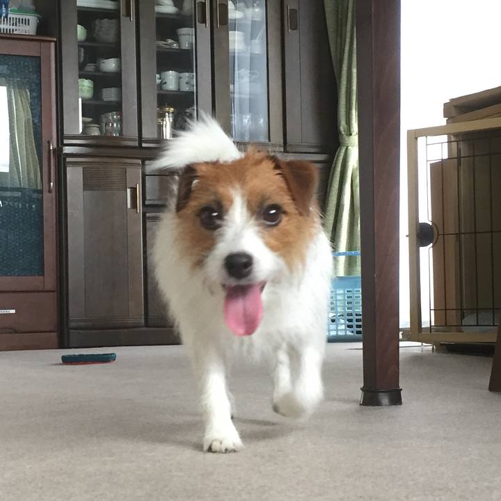 5d2e1a3f f72e 47a0 82cc 6bf1e109ef28