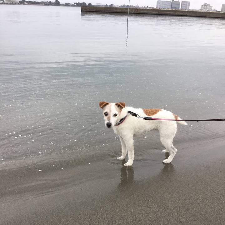 5d2e7869 db52 414d b48c df8ce2e67abb