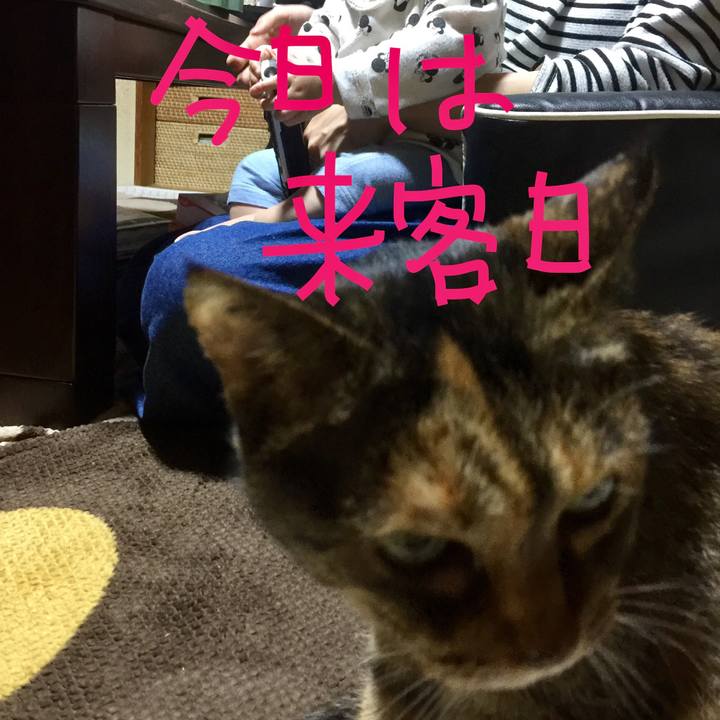 5d2e9802 f9cd 4853 96e5 aa40f218958a