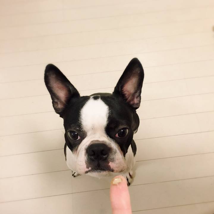 5d2ed550 f751 429a aab9 b7b4f9d343f7