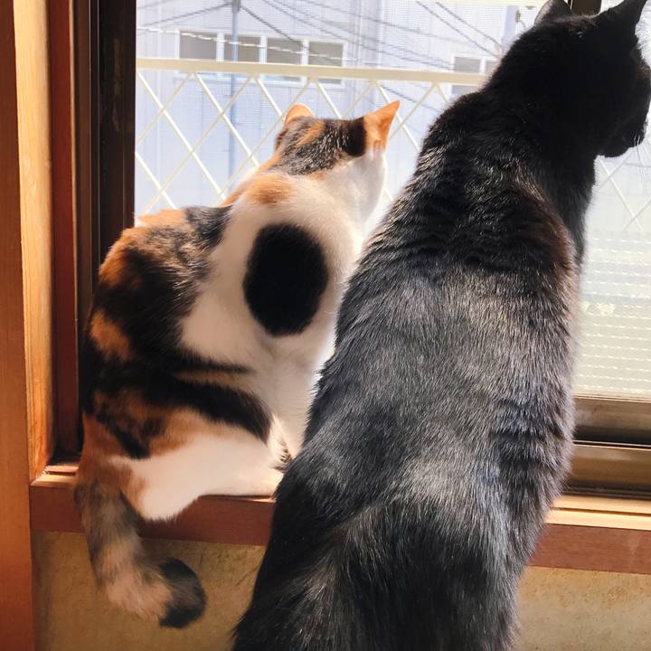 5d2efeef 869c 4b03 9c63 8168c2ce3b99