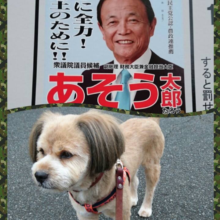 5d2ff6be 0897 4796 bdab 76fcd5df8133