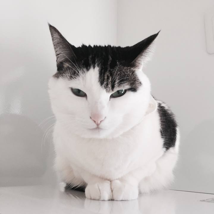 5d307c98 8d85 42e5 b0a3 0b3c4597669f