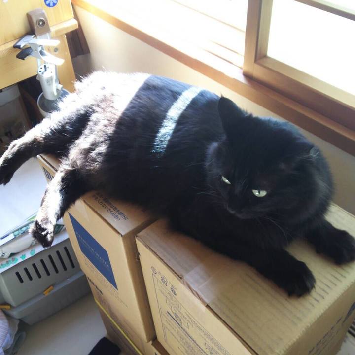 5d324b25 17f8 4099 8c2d de5a480286e1