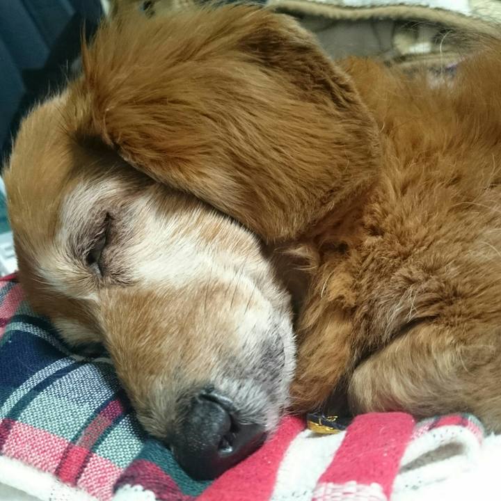 5d328ab6 ce6c 41ce b1bc a341972466b6