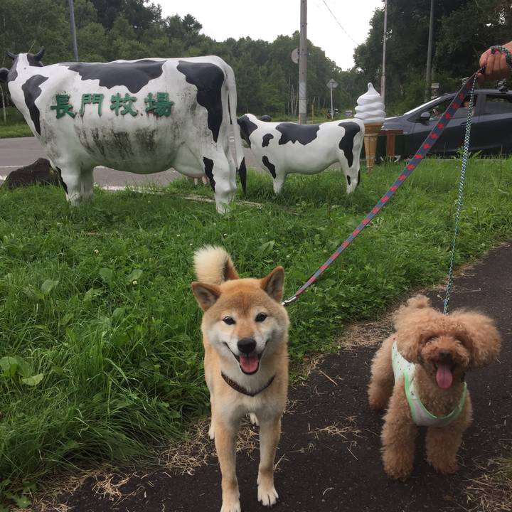 5d32b3f5 61db 467f 8f28 b5369b52316f