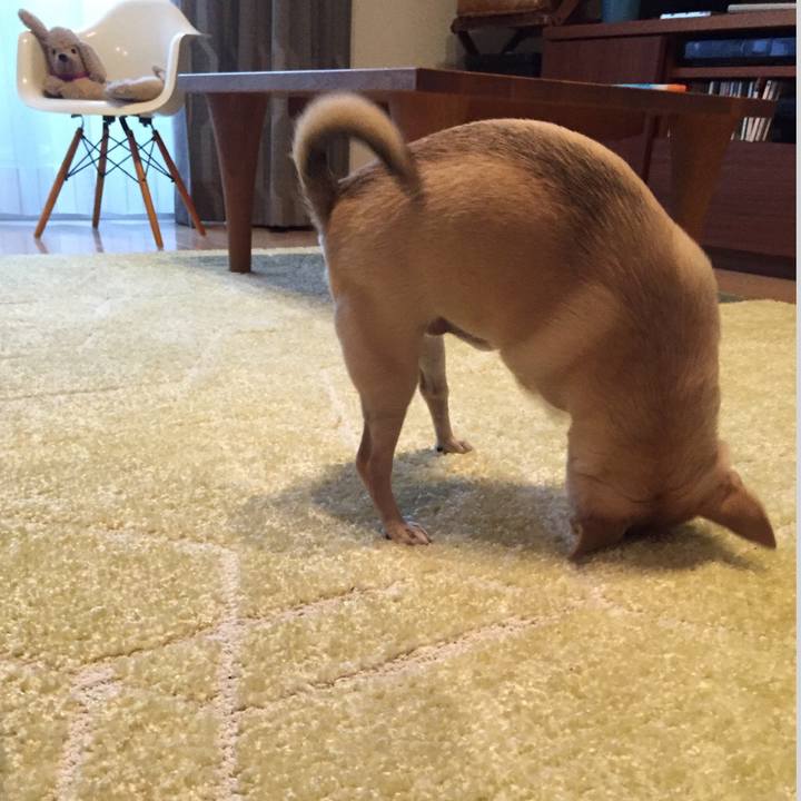 5d34501a 8250 4c40 8277 29e723f387ad