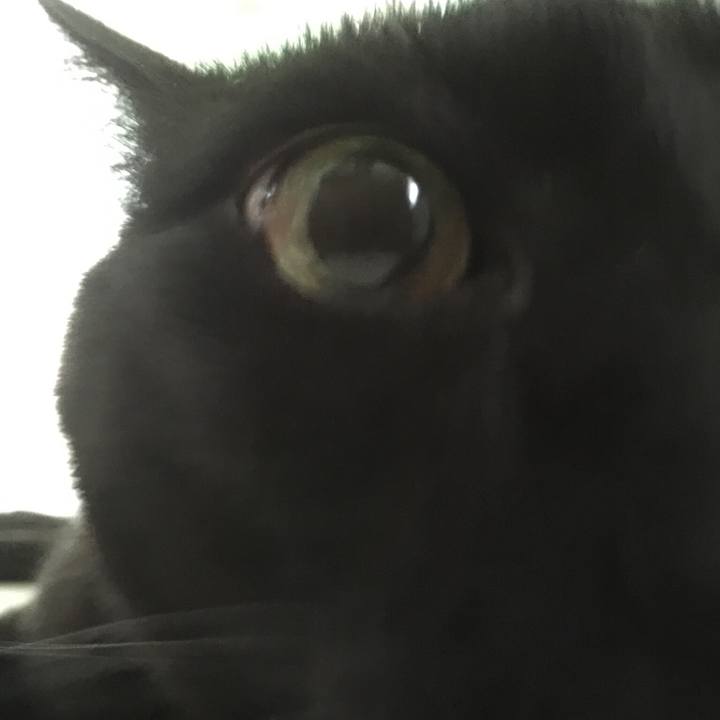 5d3485f9 e420 4997 94eb 0d4819fe232b