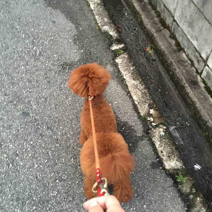 5d34f290 efc6 4b36 97e0 1e7f6e92b76a