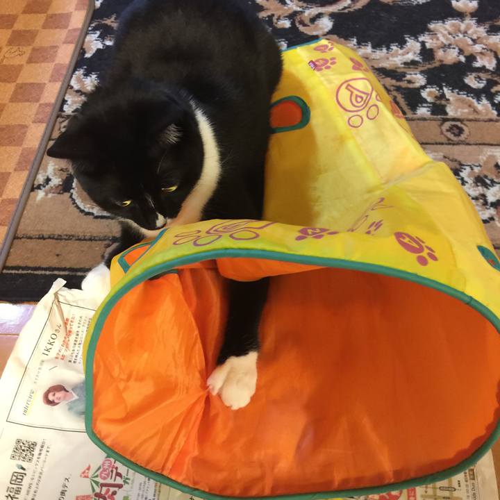 5d35cae4 d236 45e0 a24e 0c335a711c14