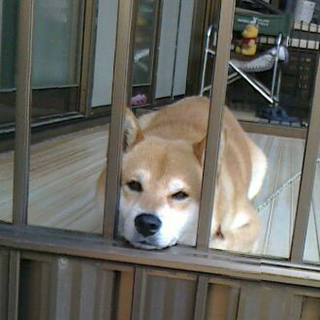 5d372207 b4dc 4b8e 9031 5dec5e89cdd7