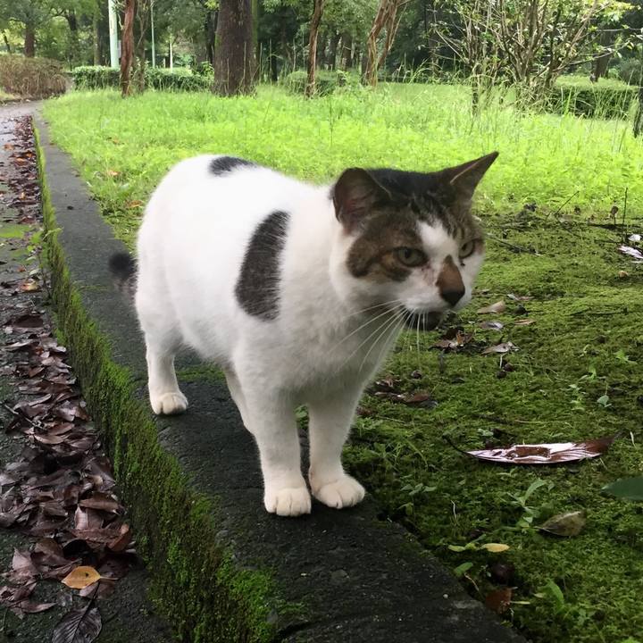 5d377a48 fa01 4296 aa45 fa2fbc571793