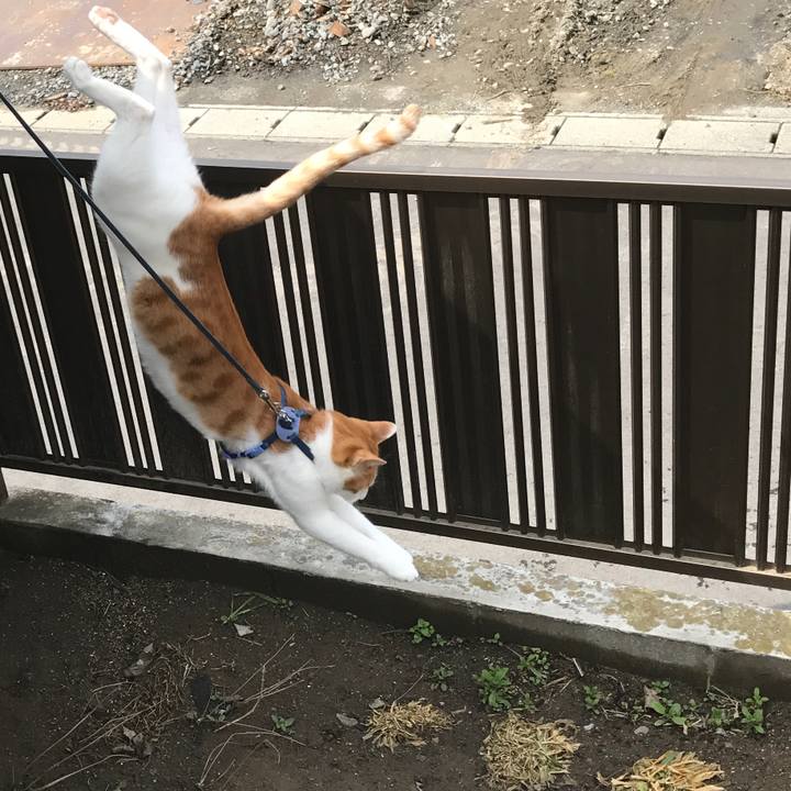 5d3792a7 77ce 4162 9308 4f384cef7aec