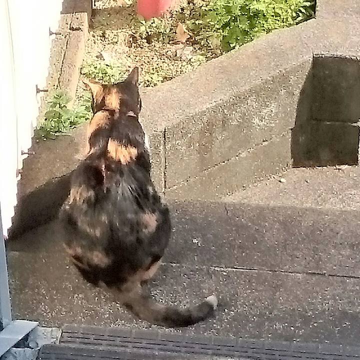 5d37e86e 53d3 407a b32f bd1b865a8a38