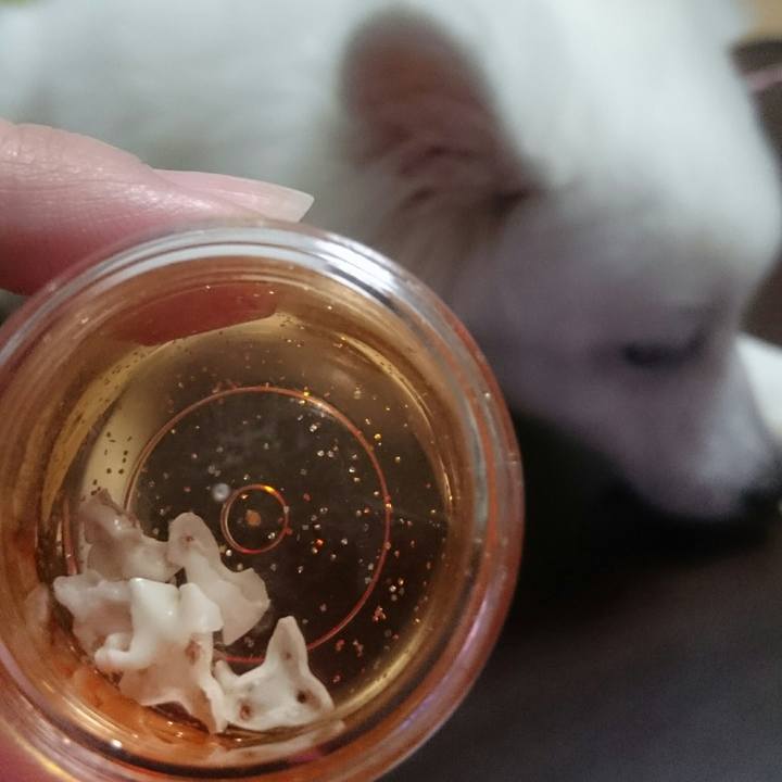 5d386ed7 219d 4df8 bcf5 c14d0e4d3579