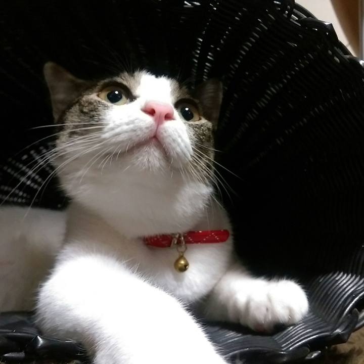 5d3965f9 9d2f 43a5 9717 2df6dd0210ef