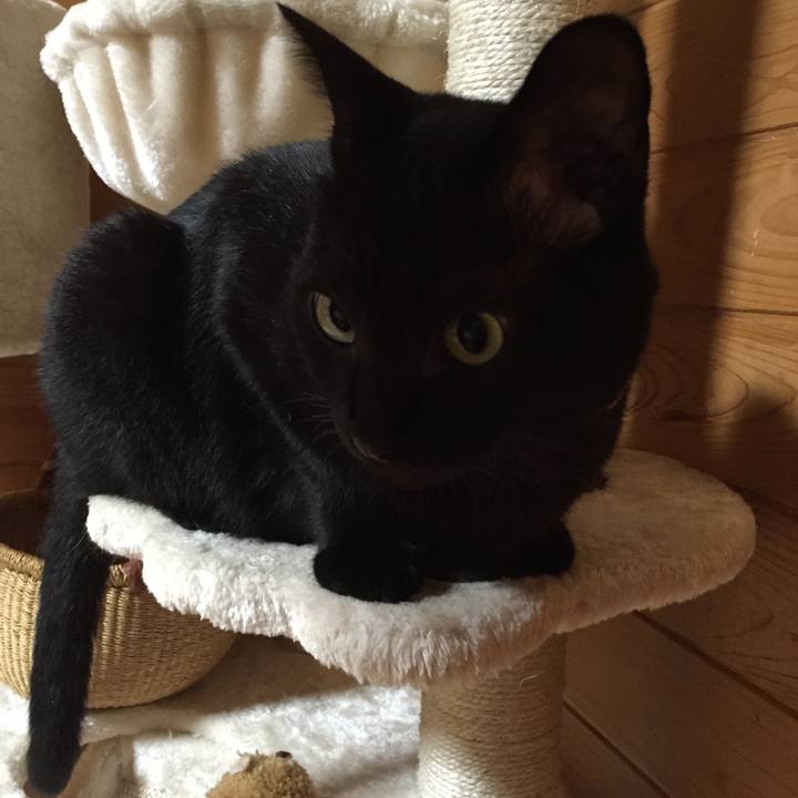 5d39dcf6 eea0 4d5e a819 325a9966c3f7