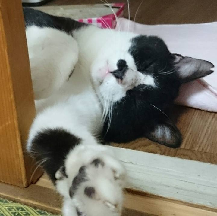 5d3a0947 9b94 4681 bf3b cd8e53facf76