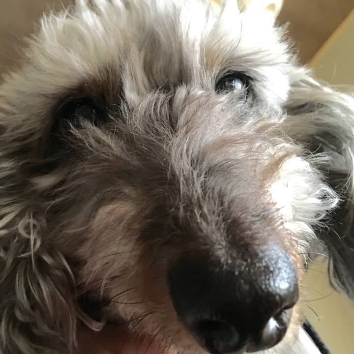 5d3aab06 df4d 4aed ba76 ad5aa4b7e42d