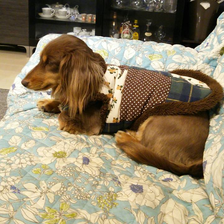 5d3aff61 94cd 48c8 bfe7 8d1d51033b28