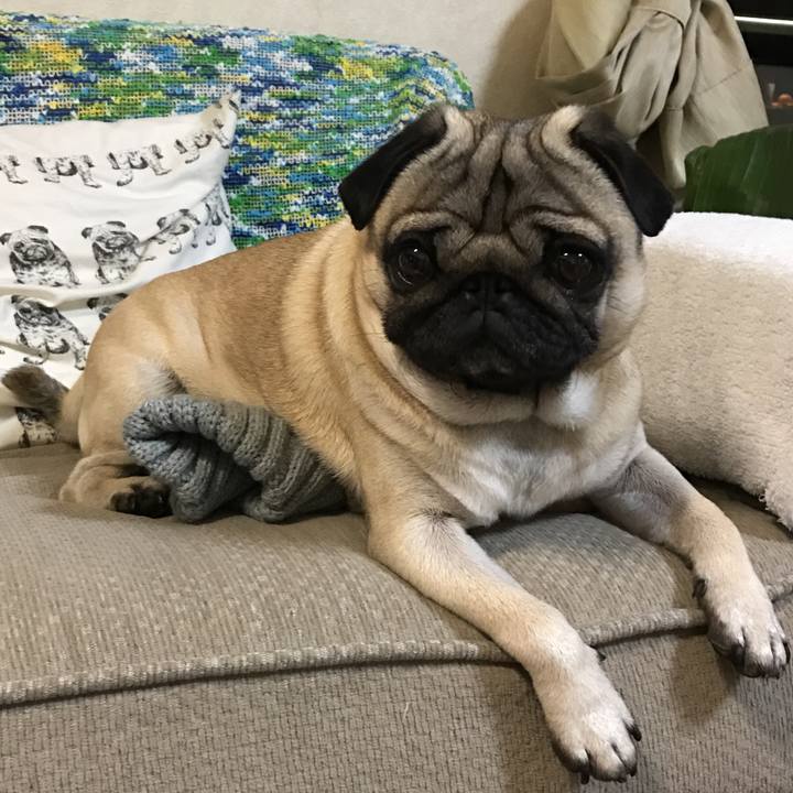 5d3b45f8 c049 4119 ad70 3dd8f2b1998f