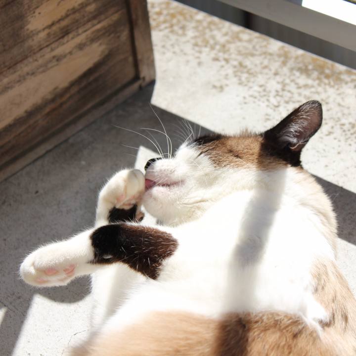 5d3bd34f b29a 4e8f a4d0 f0e5ccde612a