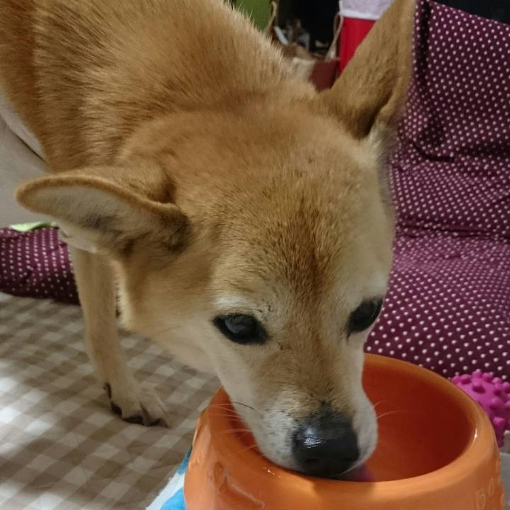 5d3c22dc 02b6 419c 85fe a40791fb6637