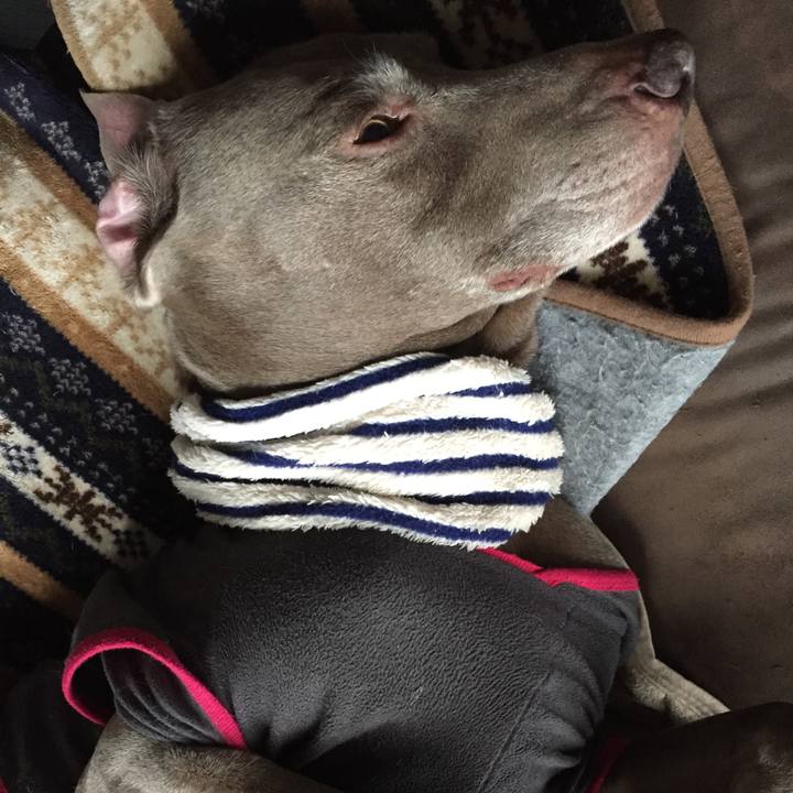 5d3c7600 e8bb 40ae 9f20 4d82b55a6b86