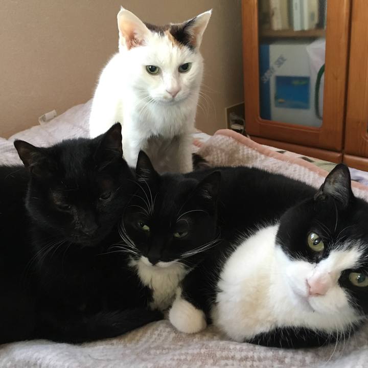 5d3ccda5 b650 4a72 b849 422d05d10d84