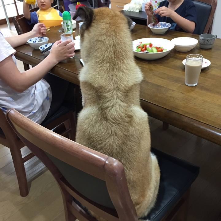 5d3ce874 d0fa 4d77 83aa 4d2b3e7f2e9e