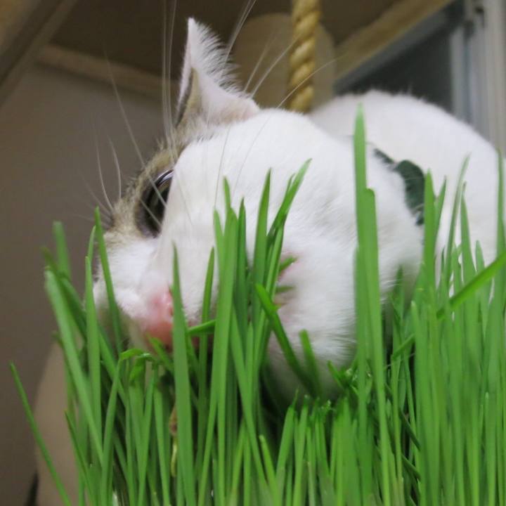 5d3ded9d b996 4379 a767 6ae419afc36d