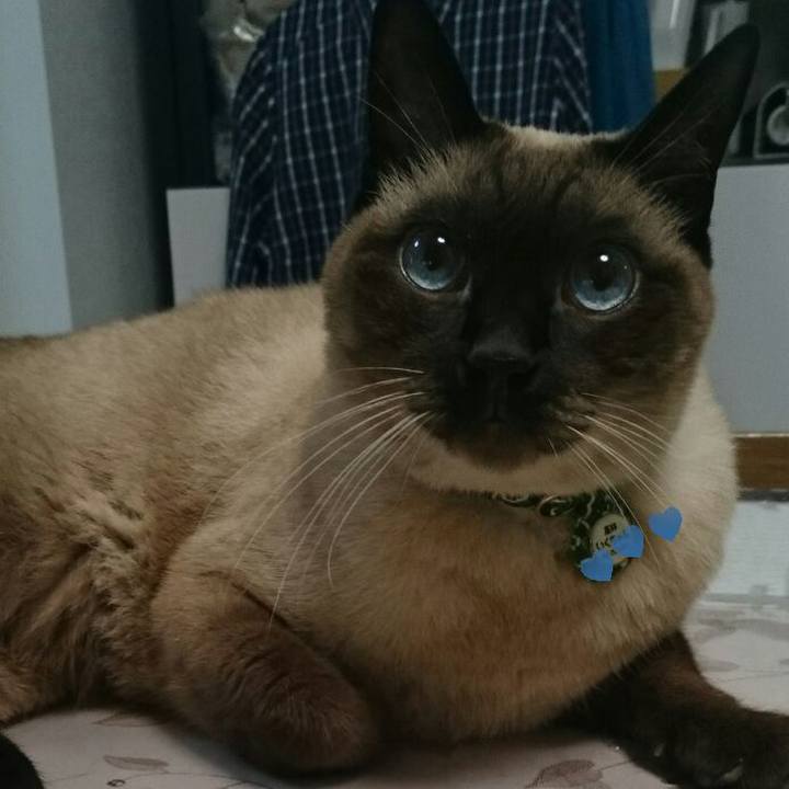 5d3e17af 9a9b 494d 9f5c 7a35c12e1a97