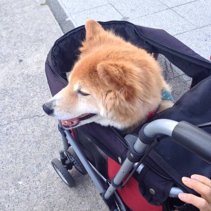 5d3e78f2 3f2e 445f 91ec ebb1895aa4b4