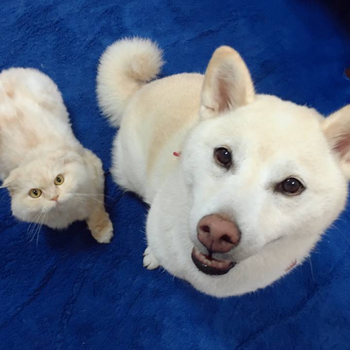 5d3f4e22 3bf8 4d50 a0ab c3cff9e5104c