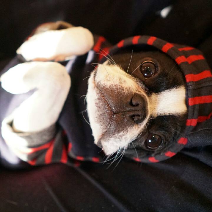 5d4004b3 61e5 4ea8 8757 31a79a4a3015