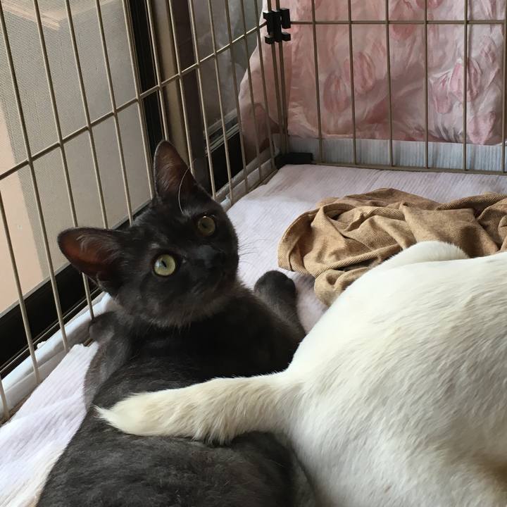 5d406fc1 dc1c 4f4a 80d4 b8f6e6f26051