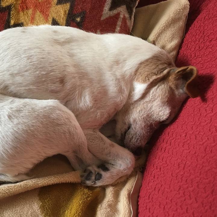 5d40a0c0 e628 47ab 8de4 093c9aaa4fc5