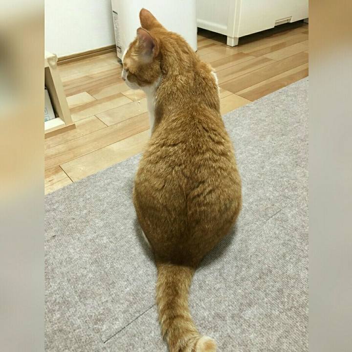 5d40c5d3 13df 4812 86a9 3732a37a9ec1